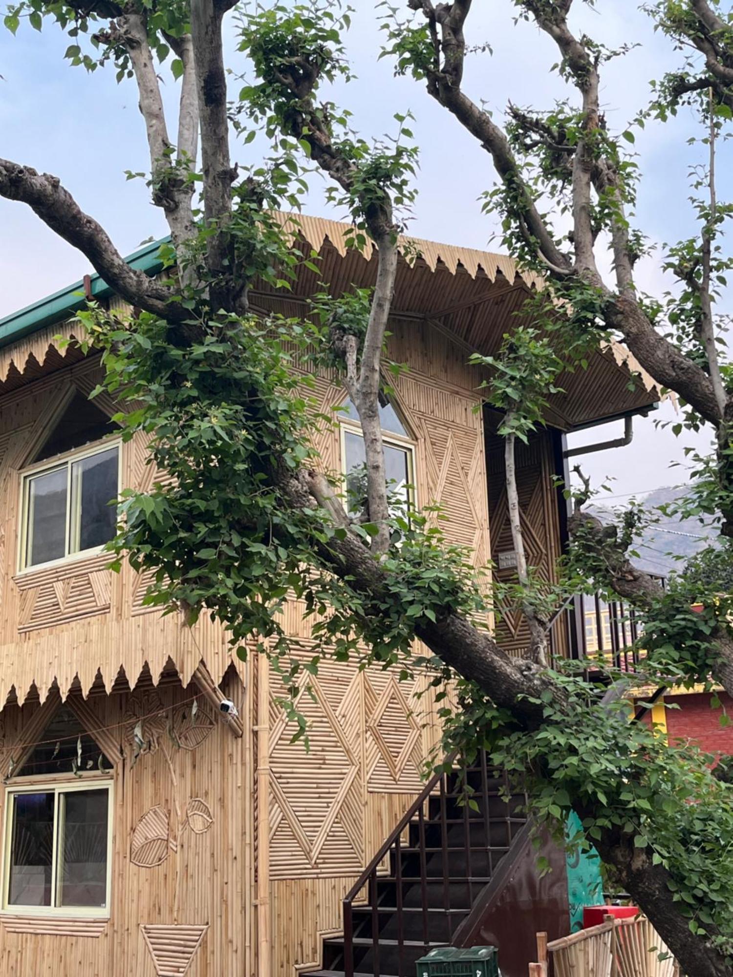 Bamboo Garden Cottages And Cafe Ришикеш Экстерьер фото